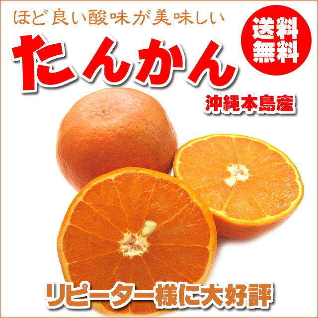 【沖縄土産】【沖縄タンカン】沖縄本島産タンカン 5kg 送料無料【みかん】【ミカン】【オレンジ】【柑橘】【送料無料】沖縄/たんかん/タンカン/酸味の美味しい「たんかん」送料無料