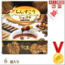 【沖縄お土産】ちんすこうショコラ ダーク&ミルク 6個入【6千円以上送料無料】【お菓