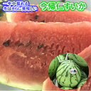 今帰仁スイカ 大玉 1個 約4kg以上【年中発送】【生産量稀...
