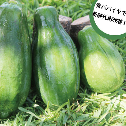 沖縄産青パパイヤ約10kg 【発送年中ですがお待たせする場合有】青パパイヤは栄養価が高く健…...:okinawa18:10000083