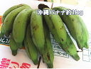 沖縄県産バナナ「三尺バナナ」約5kg【発送5~12月】【チルド発送商品と同梱不可】島バナナよりも甘い【スムージーに最適】【国産 国内産 沖縄産 フルーツ 果物 バナナ お取り寄せ】【たま青果】