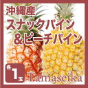 【送料無料】沖縄産 ピーチパイン&スナックパイン各1玉セット (約1.4kg)華やかな桃の香りが特徴のピーチパインとジューシーなスナックパインを、お求めやすい価格でセットにいたしました!【沖縄】20140530_パイン