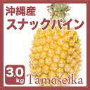 【予約受付中】【送料無料】【完熟パイン】 沖縄産 ボゴールパイン(スナックパイン 大玉3?5玉 約3kg)芯まで甘くて美味しいボゴールパイン【発送時期4月下旬ごろから】