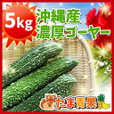 【発送 年中。お待たせする場合有】沖縄産 ゴーヤー(苦瓜・にがうり) 5kg沖縄県産ゴーヤーは苦味が自慢【ゴーヤー ニガウリ 野菜 国産 国内産 沖縄県産 お取り寄せ セット 料理 惣菜 おかず ゴーヤーチャンプルー 材料】【たま青果】