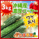 【わけあり】ゴーヤー(苦瓜・にがうり) 3kg【発送。お待たせする場合有】沖縄産【ゴーヤー ニガウリ 野菜 国産 国内産 沖縄県産 お取り寄せ セット 料理 惣菜 おかず ゴーヤーチャンプルー 材料】【たま青果】