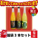 2019年度福袋-梅 ジュース3本セット 福袋 ジュースセッ...