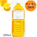 沖縄県産たんかん果汁100%2L 無添加ジュース 業務用 ビタミンP タンカン100% 沖縄 たんかん タンカンジュース 沖縄県産 みかん ドリンク 無添加 果汁 ストレート