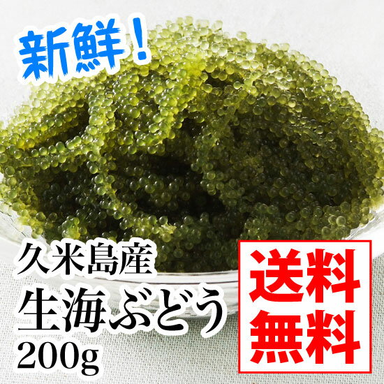 【送料無料】久米島産生海ぶどう200gタレ付き、食べ方付き！ギフト/贈り物/内祝い/お返し…...:okinawachurakikaku:10000002