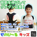 【ポイント5倍】せのびーる キッズ用