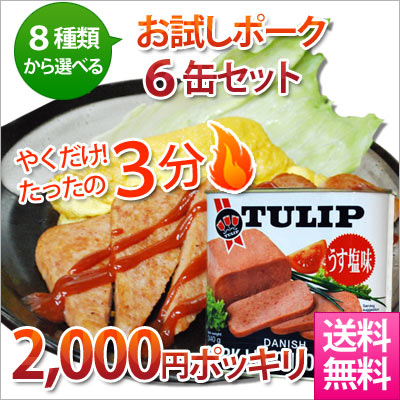 (送料無料)お試しポーク6缶セット(スパム 沖縄 ポークランチョンミート 缶詰 土産 沖縄土産）【30h50off_south】 【2sp_120706_a】【RCPmara1207】02P3Aug12【GB3倍祭り201206_2】【SBZcou1208】【ポッキリ】【30h50off_south】