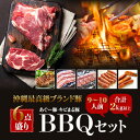 沖縄ブランド豚 送料無料 バーベキュー セット高級 【9人~10人前】 国産 焼肉 バーベキュー 肉 BBQ 黒豚 あぐー豚 アグー豚 キビまる豚 生 ソーセージ 焼肉 お取り寄せグルメ ご馳走 高級 贅沢 グランピング アウトドア 誕生日 パーティー 送料込 国産 安全 豚肉 ランキング
