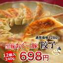 【やんばる島豚あぐー】 あぐー豚 餃子12個入り(アグー豚 沖縄 あぐー豚)ぎょうざ