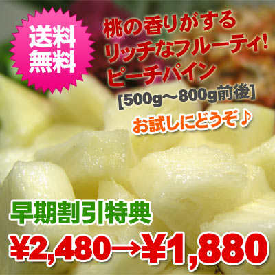 【smtb-ms】【GB3倍祭り201206_2】【送料無料】 送料無料!!石垣島産ピーチパイン1玉入(500〜800g前後)【2sp_120706_a】【RCPmara1207】【マラソン201207_食品】【GB3倍祭り201206_2】【ポイントアップ】【マラソン1207P05】(沖縄 お土産 おみやげ 沖縄土産 沖縄限定 パイン パイナップル）