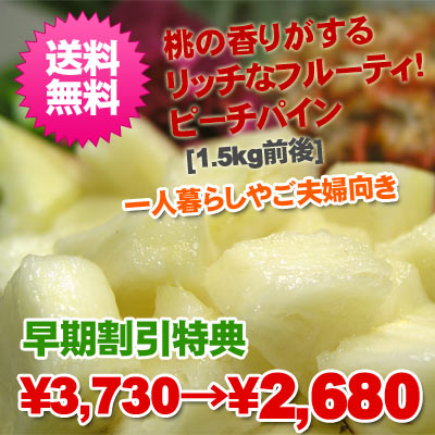 送料無料!!石垣島産ピーチパイン2〜3玉入(1.5kg前後)(ピーチ パイン パイナップル)(ピーチパイン パイナップル パイン　沖縄 トロピカル フルーツ【smtb-ms】）