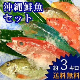 【送料無料】 おまかせ沖縄鮮魚セット4kg（2〜3種類）05P20Apr12