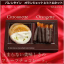 【バレンタイン】 チョコ フルーツチョコ 2種セット(手提げ...