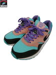 NIKE AIR MAX ナイキ エアマックス 1 NK DAY GS HAVE A NIKE DAY ハヴァナイキデイ 25.0 AT8131-001