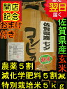 【29年産 新米】佐賀県産特別栽培米(減農薬5割減、化学肥料5割減)七夕コシヒカリ★玄米5kg送料無料※北海道は別途送料\500沖縄一部離島は\1000が掛かります。