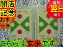 【28年産 新米】山形県産 地域厳選 つや姫★玄米10kg特別栽培米、減農薬米送料無料※北海道は別途送料\500沖縄一部離島は\1000が掛かります。