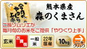 ＜お一人様6セット60kgまで＞＜精選玄米＞熊本県産森のくまさん10kg（5kg×2袋） 毎月いろいろ食べ比べて自分好みのお米を探して下さい