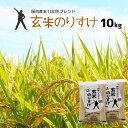 玄米 10kg 送料無料 玄米のりすけ 【家計応援玄米】一部地域送料無料（北海道.中国.四