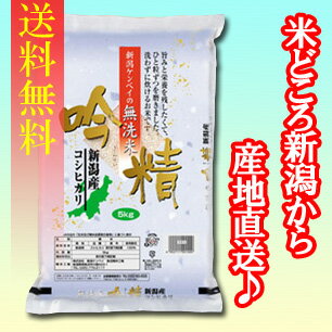 【送料無料】【無洗米】新潟産コシヒカリ　5kg×2袋　〔23年産〕　新潟から産地直送でお届けします♪おまけ付！