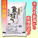 【送料無料】【無洗米】南魚沼産コシヒカリ　2kg×5袋　〔23年産〕　地元新潟の五ツ星お米マイスターが魚沼地区の中でも厳選！新潟から産地直送でお届けします♪