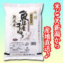 【新米】【無洗米】南魚沼産コシヒカリ　2kg袋　〔28年産〕　地元新潟の五ツ星お米マイスターが魚沼地区の中でも厳選！新潟から産地直送でお届けします♪ ランキングお取り寄せ