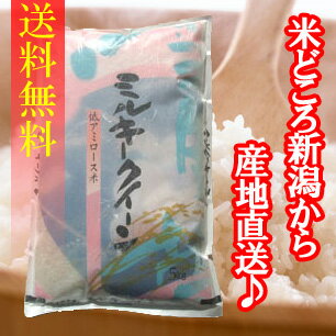 【送料無料】“特別栽培米”新潟県長岡産ミルキークイーン　5kg×2袋　〔23年産〕　冷めてももっちり新形質米♪新潟から産地直送でお届けします♪【一等米】