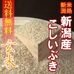 【送料無料】新潟県長岡産こしいぶき“玄米”　5kg×2袋　〔23年産〕　新潟でしか栽培されていない若い世代に人気の銘柄米♪新潟から産地直送でお届けします♪【一等米】