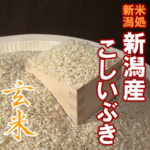 【送料無料】新潟県長岡産こしいぶき“玄米”　5kg　〔23年産〕　新潟でしか栽培されていない若い世代に人気の銘柄米♪新潟から産地直送でお届けします♪【一等米】