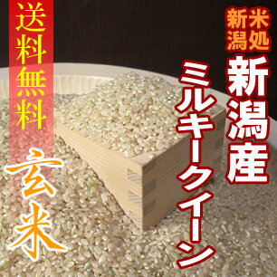 【送料無料】“特別栽培米”新潟県長岡産ミルキークイーン“玄米”　5kg×2袋　〔23年産〕　冷めてももっちり新形質米♪新潟から産地直送でお届けします♪【一等米】冷めても美味しい低アミロース米！農薬・化学肥料を半分以下で育てました♪