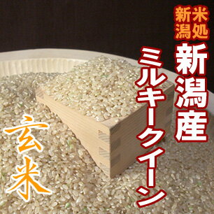 【送料無料】“特別栽培米”新潟県長岡産ミルキークイーン“玄米”　5kg　〔23年産〕　冷めてももっちり新形質米♪新潟から産地直送でお届けします♪【一等米】冷めても美味しい低アミロース米！農薬・化学肥料を半分以下で育てました♪