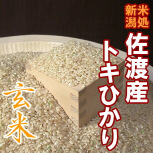 Թ̵ݤǺΤˤĶˤ䤵ҥꡪḺоϡݴԻѡϻҥإȥҤ١ȸơɡ45kgޡ20ǯ͡ȥܤȰ˰ƤϤμơ㤫黺ľޤա