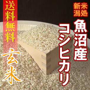 【送料無料】厳選！魚沼産コシヒカリ“玄米”　5kg×2袋　〔23年産〕　五ツ星お米マイスターが魚沼地区の中でも厳選！新潟から産地直送でお届けします♪おまけ付！