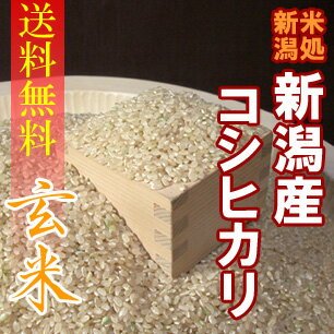 Ƥɤ٤ӡȱ۸ʿɤηá̵ۿ㻺ҥȸơɡ5kg2ޡ20ǯ͡ƤΥɡ㤫黺ľǤϤޤޤա