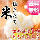 【30年産】米 30kg 送料無料 秋田県産 あきたこまち ...