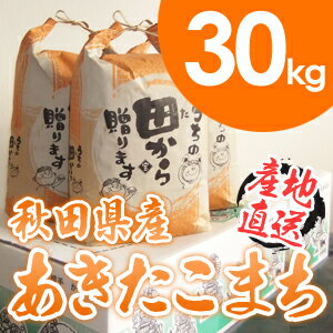 送料無料　23年産　秋田県産 特別栽培米　大粒あきたこまち 30kg