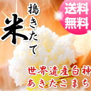 【29年産】【米 20kg 送料無料】秋田県 あきたこまち ...