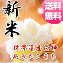 【29年産】【新米予約】【米 20kg 送料無料】