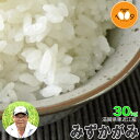 新米【環境こだわり米(減農薬)】【送料無料】29年産 滋賀県長浜産みずかがみ (玄米)30kg 産地直送 【アグリ39】