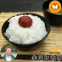 新米 三重県伊賀産 キヌヒカリ 白米 10kg ヒラキファーム 令和4年産 送料無料