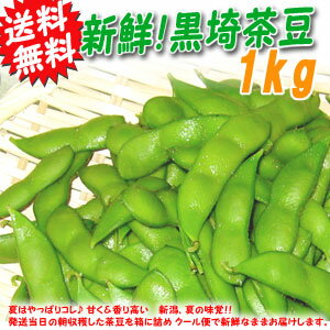 【送料無料】朝採り　黒埼茶豆1kg発送当日の朝収穫した茶豆を箱に詰めクール便で新鮮なままお届けします。