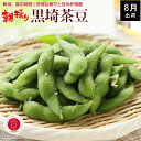 【今ならポイント15倍!!!】枝豆 新潟 黒埼茶豆 (2.4kg)【送料無料】朝採り 新鮮な枝豆