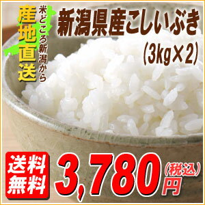 大好評！【送料無料】特別価格！23年産 新潟産こしいぶき3キロ×2袋　検査米・厳選