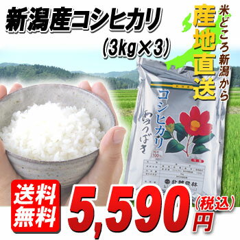 米どころ新潟から『産地直送』23年産新潟産コシヒカリ9kg【送料無料】一口で美味しさを実感★【マラソン1207P10】