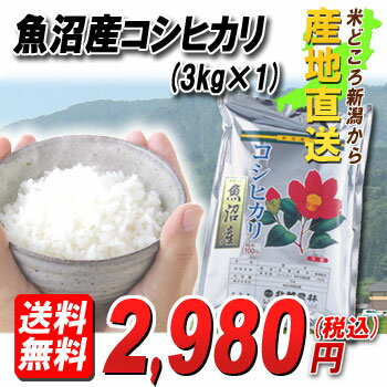 米どころ新潟から『産地直送』23年産魚沼産コシヒカリ3kg【送料無料】口の中に広がる甘みと香りは感動もの！