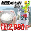 米どころ新潟から『産地直送』23年産魚沼産コシヒカリ3kg【送料無料】口の中に広がる甘みと香りは感動もの！