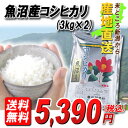 米どころ新潟から『産地直送』23年産魚沼産コシヒカリ6kg【送料無料】口の中に広がる甘みと香りは感動もの！