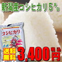 23年産新潟産コシヒカリ5kg＜厳選・検査米＞【送料無料】